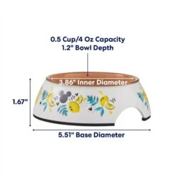 Disney -Disney 315295 PT1. AC SS1800 V1685731885