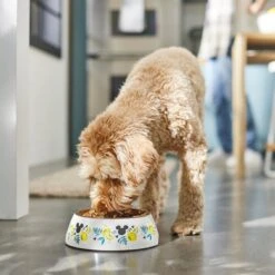 Disney Mickey Mouse Lemon Melamine Stainless Steel Dog & Cat Bowl -Disney 315295 PT2. AC SS1800 V1647282906