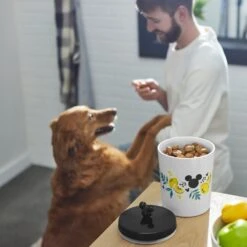 Disney Mickey Mouse Lemon Melamine Dog & Cat Treat Jar -Disney 315302 PT2. AC SS1800 V1647282011