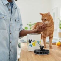 Disney Mickey Mouse Lemon Melamine Dog & Cat Treat Jar -Disney 315302 PT3. AC SS1800 V1647283698