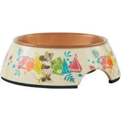Disney 29 Disney Minnie Mouse Summer Bamboo Melamine Stainless Steel Dog & Cat Bowl