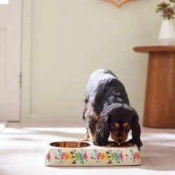 Disney Minnie Mouse Summer Bamboo Melamine Stainless Steel Double Dog & Cat Bowl -Disney 315343 PT2. AC SS1800 V1647283653