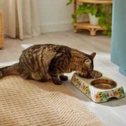 Disney Minnie Mouse Summer Bamboo Melamine Stainless Steel Double Dog & Cat Bowl -Disney 315343 PT3. AC SS1800 V1647282052