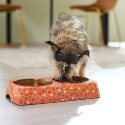 Disney Mickey Mouse Orange Bamboo Melamine Stainless Steel Double Dog & Cat Bowl -Disney 315350 PT2. AC SS1800 V1647281698