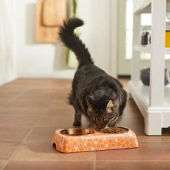 Disney Mickey Mouse Orange Bamboo Melamine Stainless Steel Double Dog & Cat Bowl -Disney 315350 PT3. AC SS1800 V1647282204