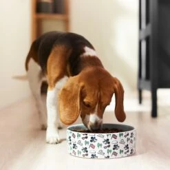 Disney Mickey Mouse Americana Non-Skid Ceramic Dog & Cat Bowl -Disney 315353 PT2. AC SS1800 V1647283463