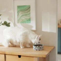 Disney Mickey Mouse Americana Non-Skid Ceramic Dog & Cat Bowl -Disney 315353 PT3. AC SS1800 V1647282583