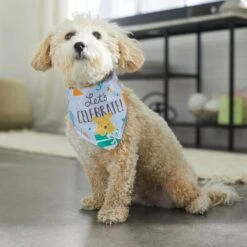 Disney Winnie The Pooh Birthday Dog & Cat Bandana -Disney 316080 PT8. AC SS1800 V1646180621