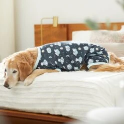 Disney Winnie The Pooh Nite Time Dog & Cat Pajama -Disney 316098 PT8. AC SS1800 V1646177678