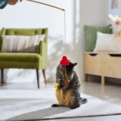 Disney Princess Belle Teaser Wand Cat Toy With Catnip 5 Disney Princess Belle Teaser Wand Cat Toy With Catnip -Disney 328717 PT3. AC SS1800 V1657656888