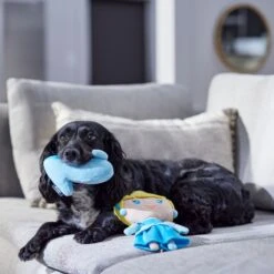 Disney Princess Cinderella Plush Squeaky Dog Toy, 2 Count -Disney 328757 PT3. AC SS1800 V1657656888