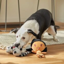 Disney Princess Pocahontas Plush Squeaky Dog Toy, 2 Count -Disney 328761 PT3. AC SS1800 V1657718550