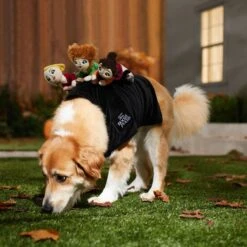 Disney Hocus Pocus Ride-On Sanderson Sisters Dog & Cat Costume -Disney 334711 PT8. AC SS1800 V1660069162