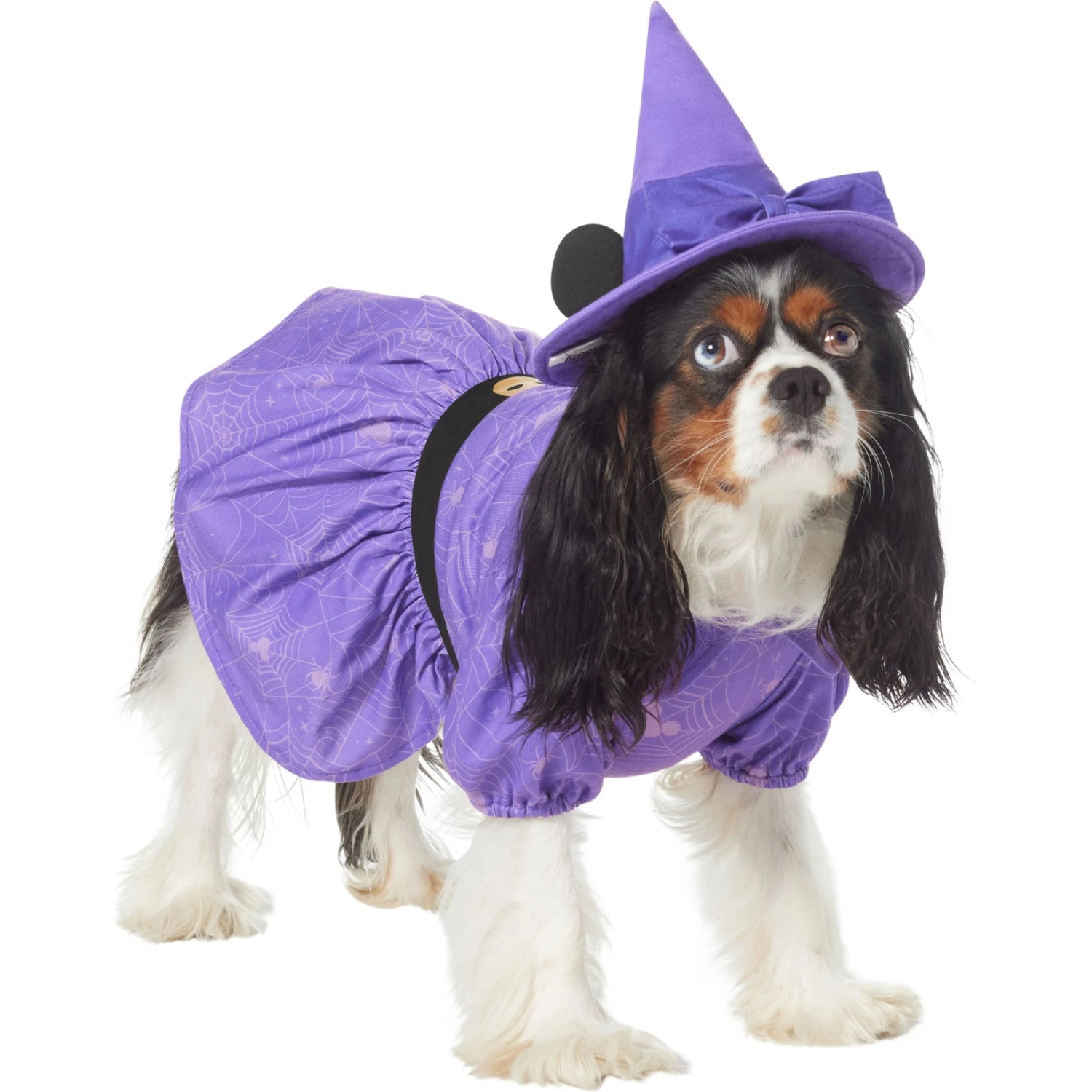 Disney Minnie Mouse Witch Dog & Cat Costume 1 Disney Minnie Mouse Witch Dog & Cat Costume