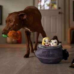 Disney Halloween Hocus Pocus Cauldron Hide & Seek Puzzle Plush Toy Squeaky Dog Toy -Disney 344459 PT3. AC SS1800 V1657657086