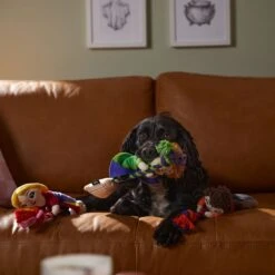 Disney Halloween Hocus Pocus Sanderson Sisters Plush With Rope Squeaky Dog Toy -Disney 344463 PT3. AC SS1800 V1657657086