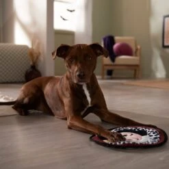 Disney Villains Cruella De Vil Flat Plush Squeaky Dog Toy -Disney 344469 PT3. AC SS1800 V1657657086