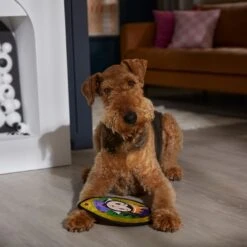 Disney Villains Evil Queen Mirror Flat Plush Squeaky Dog Toy -Disney 344473 PT3. AC SS1800 V1657657086