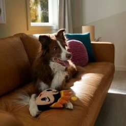 Disney Villains Evil Queen Round Plush Squeaky Dog Toy -Disney 344475 PT3. AC SS1800 V1657657086