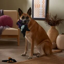 Disney Villains Maleficent & Raven Plush Squeaky Dog Toy, 2 Count -Disney 344477 PT3. AC SS1800 V1657657086