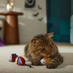 Disney Halloween Hocus Pocus Sanderson Sisters Plush Mice Cat Toy With Catnip 5 Disney Halloween Hocus Pocus Sanderson Sisters Plush Mice Cat Toy With Catnip -Disney 344497 PT3. AC SS1800 V1658457152