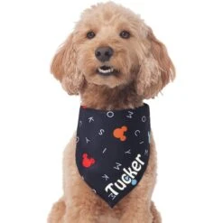 Disney "M-I-C-K-E-Y M-O-U-S-E" Personalized Dog & Cat Bandana 11 Disney "M-I-C-K-E-Y M-O-U-S-E" Personalized Dog & Cat Bandana -Disney 346374 PT3. AC SS1800 V1671228218