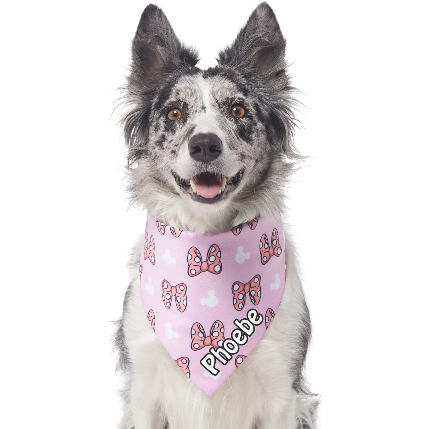 Disney Minnie Mouse Bows Personalized Dog & Cat Bandana 4 Disney Minnie Mouse Bows Personalized Dog & Cat Bandana - Image 4