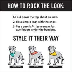 Disney Frozen's Olaf & Marshmallow Personalized Dog & Cat Bandana -Disney 346382 PT7. AC SS1800 V1671228216