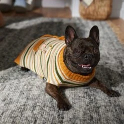 Disney Winnie The Pooh Dog & Cat Faux Cardigan -Disney 354036 PT7. AC SS1800 V1660749564