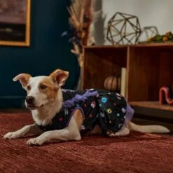 Disney Villains Dog & Cat Ruffle Dress 11 Disney Villains Dog & Cat Ruffle Dress -Disney 354044 PT6. AC SS1800 V1660750186