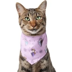 Disney Frozen Pattern Dog & Cat Bandana