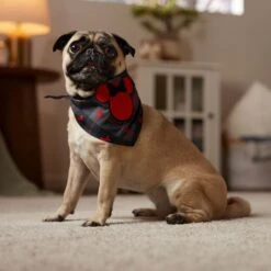 Disney Minnie Mouse Plaid Dog & Cat Bandana 12 Disney Minnie Mouse Plaid Dog & Cat Bandana -Disney 361491 PT6. AC SS1800 V1661798242