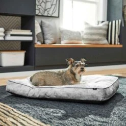 Disney Mickey Mouse Pillow Cat & Dog Bed & Disney Mickey Mouse Bolster Cat & Dog Bed -Disney 370380 PT4. AC SS1800 V1645807915