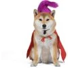 Disney Hocus Pocus Halloween Mary Sanderson Cape & Pet Wig Dog Costume With PVC Bag & Insert Card