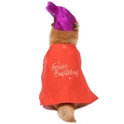 Disney Hocus Pocus Halloween Mary Sanderson Cape & Pet Wig Dog Costume With PVC Bag & Insert Card -Disney 763478 PT2. AC SS1800 V1686850817