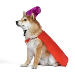 Disney Hocus Pocus Halloween Mary Sanderson Cape & Pet Wig Dog Costume With PVC Bag & Insert Card -Disney 763478 PT4. AC SS1800 V1686850039