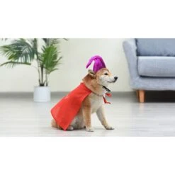 Disney Hocus Pocus Halloween Mary Sanderson Cape & Pet Wig Dog Costume With PVC Bag & Insert Card -Disney 763478 PT5. AC SS1800 V1686849978