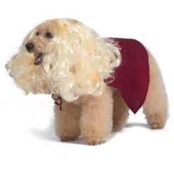 Disney Hocus Pocus Halloween Sarah Sanderson Cape & Pet Wig Dog Costume With PVC Bag & Insert Card -Disney 763518 PT3. AC SS1800 V1686850100