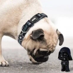 Disney Wars Darth Vader Dog Collar Multicoloured